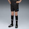 individualCUP Football Training Shorts - Youth 8-16 years, PUMA Black-PUMA White-Ultra Blue, small-AUS