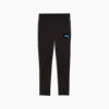 individualCUP Men's Football Training Pants, PUMA Black-PUMA White-Ultra Blue, small-AUS