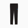 individualCUP Football Training Pants Youth, PUMA Black-PUMA White-Ultra Blue, small