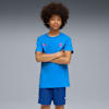 PUMA Team Royal-PUMA Red