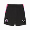 Premier League Brilliance Shorts Big Kids, PUMA Black-PUMA White, small