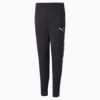 Active Sports Poly Pants Youth, Puma Black, small-PHL