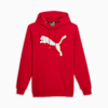 Big Cat Men's Logo Hoodie, For All Time Red, small