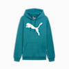 Big Cat Men's Logo Hoodie, Cold Green, small