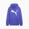Big Cat Men's Logo Hoodie, Lapis Lazuli, small