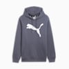 Big Cat Men's Logo Hoodie, Galactic Gray, small