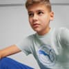 Active Sports Graphic Tee Youth, Platinum Gray, small-SEA