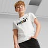 PUMA White