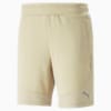 EVOSTRIPE Men's Shorts, Granola, small-AUS