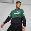 PUMA POWER Men's Colourblock Hoodie, Vine, small-NZL