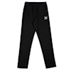 Puma Black