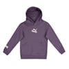 Purple Charcoal