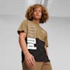 PUMA POWER Men's Tee, Chocolate Chip, small-AUS