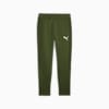EVOSTRIPE Men's Sweatpants, Myrtle, small-AUS