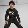 Better Sportswear Men's Hoodie, PUMA Black, small-PHL