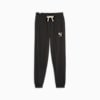 Better Sportswear Men's Sweatpants, PUMA Black, small-NZL