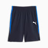 Active Sports Youth Woven Shorts, PUMA Navy, small-PHL