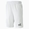 Summer Splash 10" TR Shorts Men, PUMA White, small-THA