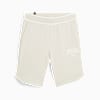 กางเกงขาสั้น PUMA SQUAD, Alpine Snow, small-THA