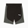 EVOSTRIPE Shorts - Youth 8-16 years, PUMA Black, small-NZL