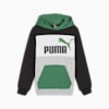 ESS BLOCK Hoodie - Youth 8-16 years, Archive Green, small-AUS