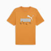 GRAPHICS Sneaker Men's Tee, Ginger Tea, small-AUS