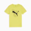 GRAPHICS Cat Tee - Youth 8-16 years, Lime Sheen, small-AUS