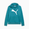 Essentials Big Cat Logo Women's Hoodie, Cold Green, small