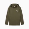 EVOSTRIPE Men's Hoodie, Dark Olive, small-NZL