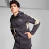 EVOSTRIPE Men's Full-Zip Hoodie, Galactic Gray, small-AUS