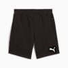 EVOSTRIPE Shorts Men, PUMA Black, small-VNM