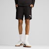 EVOSTRIPE Men's Shorts, PUMA Black, small-AUS
