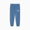 Essentials+ PUMA Sweatpants Youth, Blue Horizon, small-IDN