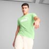 ESS No. 1 Logo Tee Men, Spring Fern, small-SEA