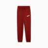 ESS+ SCRIPT Pants Youth, Intense Red-gold foil, small