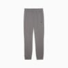 PUMATECH Pants Men, Cast Iron, small