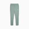 EVOSTRIPE Men's Pants, Green Moon, small-NZL