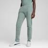 EVOSTRIPE Men's Pants, Green Moon, small-NZL