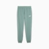 PUMA Sport Sweatpants Men, Green Moon, small