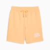 PUMA Class 8" Shorts Men, Almost Apricot, small