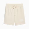PUMA Class 8" Shorts Men, Alpine Snow, small