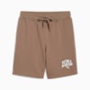 PUMA Class Men's 8" Shorts, Totally Taupe, small-AUS