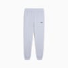 Essentials 2 Colour No. 1 Logo Sweatpants Men, Cool Weather, small