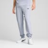 Essentials 2 Colour No. 1 Logo Sweatpants Men, Cool Weather, small