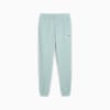 Essentials 2 Colour No. 1 Logo Sweatpants Men, Modern Mint, small