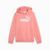ESS No. 1 Logo Fleece Hoodie Youth, Pink Fruit, small