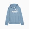Essentials No. 1 Logo Big Kids' Hoodie, Cool Blue, small
