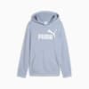 ESS No. 1 Logo Hoodie Youth, Cool Weather, small