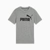 Essentials No. 1 Logo Big Kids' Tee, Medium Gray Heather, small