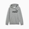 Sudadera con capucha Essentials No. 1 Logo juvenil, Medium Gray Heather, small